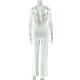Spring Summer Women's Low Back Draped Top & Wide Leg Pants Set