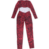 Women Spring/Summer Sexy Leopard Print V-Neck Jumpsuit
