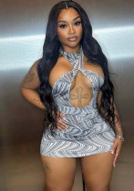 Women Spring/Summer Sexy Halter Neck Bodycon Dress Women Spring/Summer Sexy Halter Neck Bodycon Dress