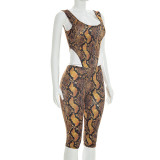 Women Sexy Python Print Bodysuit and Pants Two-Piece Set