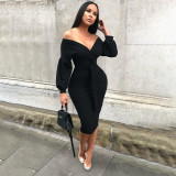 Women Chic Career Lantern Sleeve V-Neck Off Shoulder Bodycon Dress