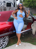 Women Fashion Polka Dot Lace-Up Halter Neck Low Back Jumpsuit