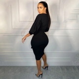 Women Chic Career Lantern Sleeve V-Neck Off Shoulder Bodycon Dress