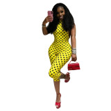 Women Halter Neck Low Back Printed Jumpsuit