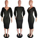 Women Chic Career Lantern Sleeve V-Neck Off Shoulder Bodycon Dress