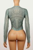 Women Mesh Round Neck Slim Fit Top