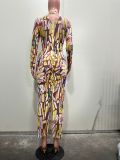 Women Long-Sleeved Ink Painting Mesh Beaded Sexy Dress