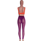 Women Sexy See Through Mesh Pencil Pants Clubwear Sheer Bottoms
