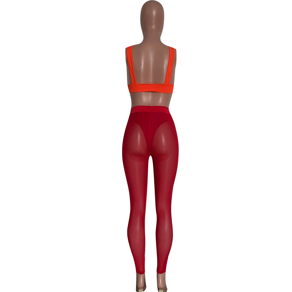 See-Through Mesh Pencil Pants for Club Wear Bottoms