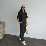 Women Spring Summer Casual Solid Color Turndown Collar Short Sleeve Top with Tight Pants Set