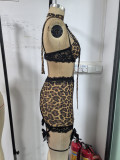 Women Leopard Print Contrast Lace Bra and Panty Lingerie Set