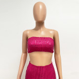 Women Strapless Sequined Top and Skirt Two-Piece Set