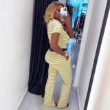 Women Colorblock Crop Top and Pants Set Turndown Collar Casual Two Piece Outfit