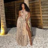 Women Spring & Summer Sexy Print Bodysuit & Side Slit Skirt Two-Piece Set