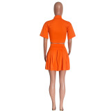 Women Spring & Summer Short Sleeve Top & Pleated Skirt Two-Piece Set