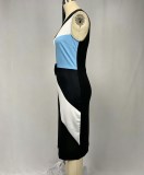 Women Elegant Color Block Dress