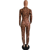 Women Print Casual Top & Pant Two-Piece Set