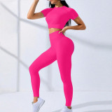 Women Short Sleeve T-Shirt & Yoga Long Pant Fitness Two-Piece Set