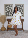 Women Holiday Dress Casual A-Line Print Loose Vacation Dress