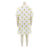Women Holiday Dress Casual A-Line Print Loose Vacation Dress