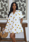 Women Holiday Dress Casual A-Line Print Loose Vacation Dress