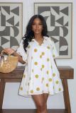 Women Holiday Dress Casual A-Line Print Loose Vacation Dress
