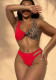 Women Bikini Patchwork Low Back Swimsuit Sexy Beachwear
