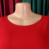 Plus Size African Women Round Neck Puff Sleeve Dress