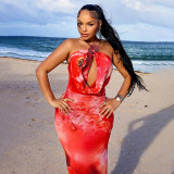 Women Floral Printed Sexy Cut-Out Swing Collar Halter Neck Lace-Up Maxi Dress