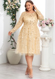 Summer Fall Women Mesh Embroidery Round Neck Plus Size Long Sleeve Evening Dress
