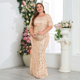 Spring Fall Women Round Neck Short Sleeve Mesh Embroidery Plus Size Mermaid Dress