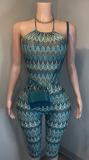 Women Fashion Printed Stretch Halter Neck Backless Slim Fit Jumpsuit