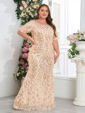 Spring Fall Women Round Neck Short Sleeve Mesh Embroidery Plus Size Mermaid Dress