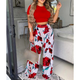 Women Elegant Short Sleeve Printed Top and Pants Two Piece Set