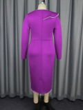 Women Round Neck Ruffled Long Sleeve Dress