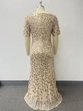 Spring Fall Women Round Neck Short Sleeve Mesh Embroidery Plus Size Mermaid Dress