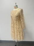 Summer Fall Women Mesh Embroidery Round Neck Plus Size Long Sleeve Evening Dress