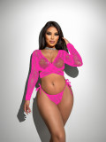 Hollow Low Back Cross Lace-Up Sexy Women's Temptation Long Sleeve Mesh Lingerie Set