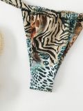 Women Leopard Print Halter Neck Lace Up Sexy Beach Holidays Two Pieces Swimwear