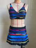 Women Multi-Color Holidays Skirt Style Swimwear Two Pieces
