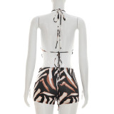 Women Halter Neck Tie Backless Cowl Neck Top & Shorts Two Piece Set