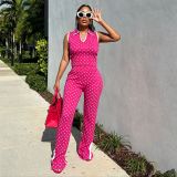 Women Spring Summer Polka Dot Print Shirt Collar Short Sleeve Top and Slit Long Pants Two-Piece Set
