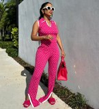 Women Spring Summer Polka Dot Print Shirt Collar Short Sleeve Top and Slit Long Pants Two-Piece Set