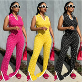 Women Spring Summer Polka Dot Print Shirt Collar Short Sleeve Top and Slit Long Pants Two-Piece Set