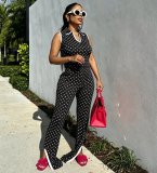 Women Spring Summer Polka Dot Print Shirt Collar Short Sleeve Top and Slit Long Pants Two-Piece Set