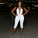 Women Spring Sexy Drop Neck Tie-Neck Top and Pant Two-Piece Set