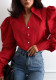 Women Chic Puff Sleeve Striped Shirt Trendy Long Sleeve Blouse