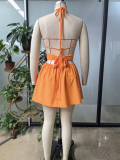 Women's Beach Holidays Sexy Low Back Halter Neck Solid Color Dress