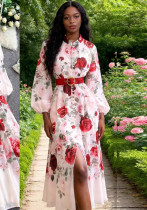 Women Print Stand Collar Lantern Sleeve Dress