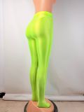 Women Glossy Basic Legging Pant